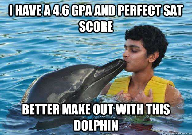 I have a 4.6 GPA and perfect SAT Score Better make out with this dolphin  
