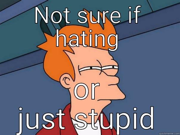 NOT SURE IF HATING OR JUST STUPID Futurama Fry