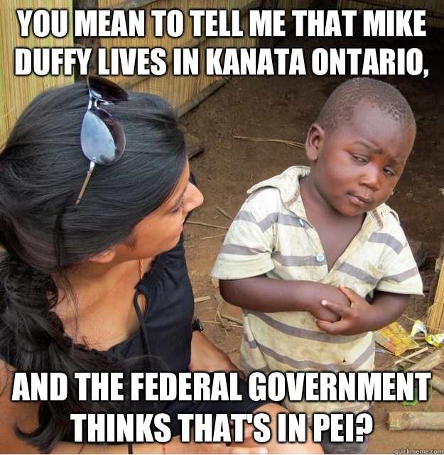 You mean to tell me that Mike Duffy lives in Kanata Ontario, and the Federal Government thinks that's in PEI?  Skeptical Third World Kid