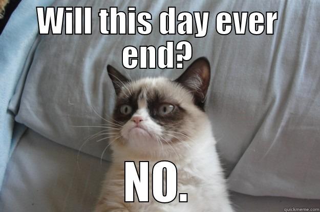 WILL THIS DAY EVER END? NO. Grumpy Cat
