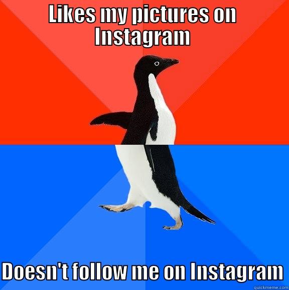 of course - LIKES MY PICTURES ON INSTAGRAM DOESN'T FOLLOW ME ON INSTAGRAM Socially Awesome Awkward Penguin