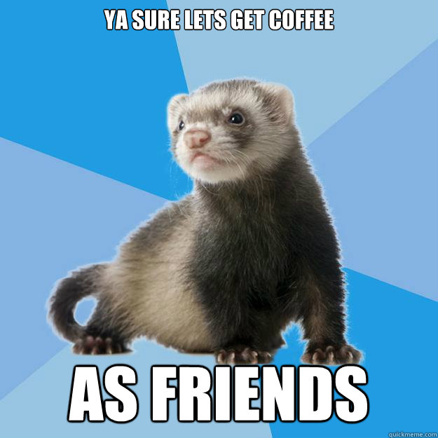 Ya sure lets get coffee AS FRIENDS - Ya sure lets get coffee AS FRIENDS  Friend Zone Ferret