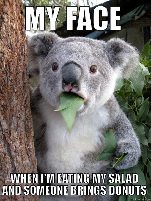 MY FACE WHEN I'M EATING MY SALAD AND SOMEONE BRINGS DONUTS koala bear