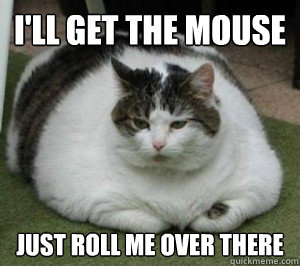 i'll get the mouse just roll me over there   Fat Cat
