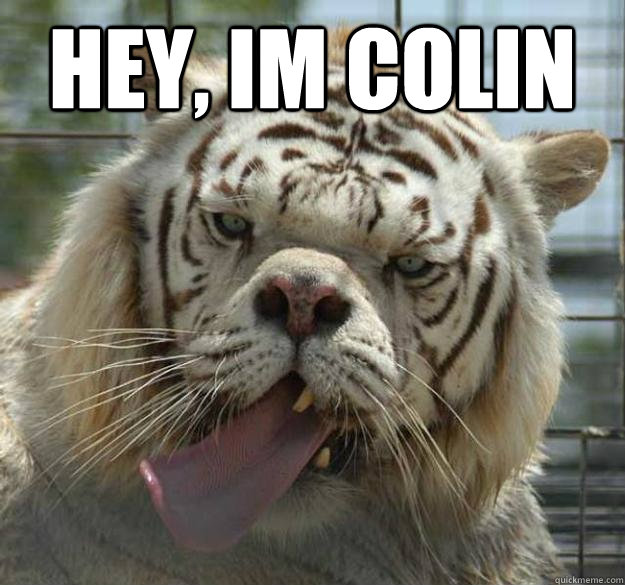 hey, im colin  - hey, im colin   Kenny the Retarded Tiger