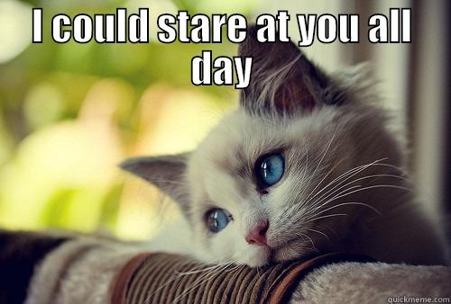 Flirty cat - I COULD STARE AT YOU ALL DAY  First World Problems Cat