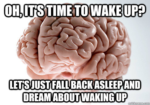 Oh, it's time to wake up? Let's just fall back asleep and dream about waking up  Scumbag Brain
