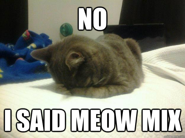 No I said meow mix - No I said meow mix  Shame Cat