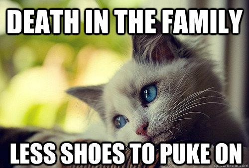 Death in the family Less shoes to puke on  First World Problems Cat