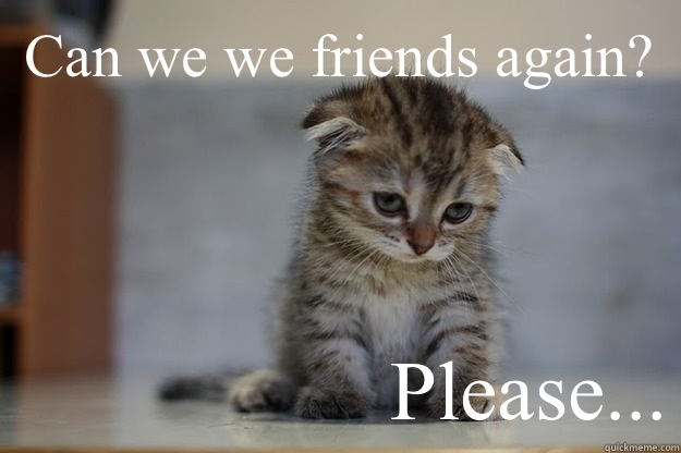 Can we we friends again? Please... - Can we we friends again? Please...  Sad Kitten