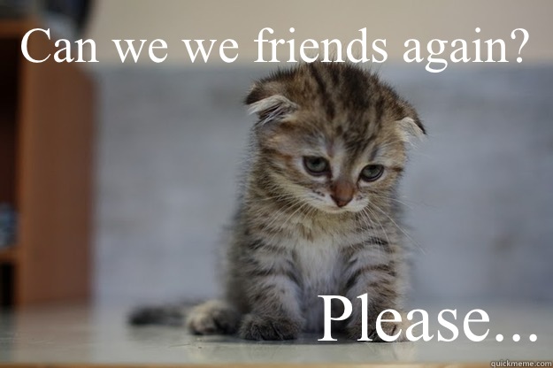 Can we we friends again? Please...  Sad Kitten