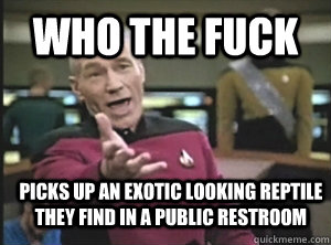 Who the fuck Picks up an exotic looking reptile they find in a public restroom  Annoyed Picard