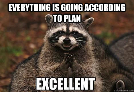 Everything is going according to plan  - Everything is going according to plan   evil racoon