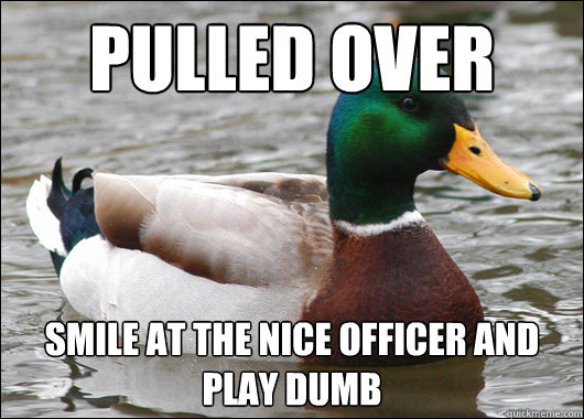 PULLED OVER SMILE AT THE NICE OFFICER AND PLAY DUMB  Actual Advice Mallard