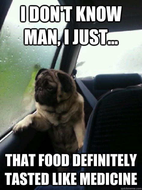 I don't know man, I just... that food definitely tasted like medicine - I don't know man, I just... that food definitely tasted like medicine  Introspective Pug