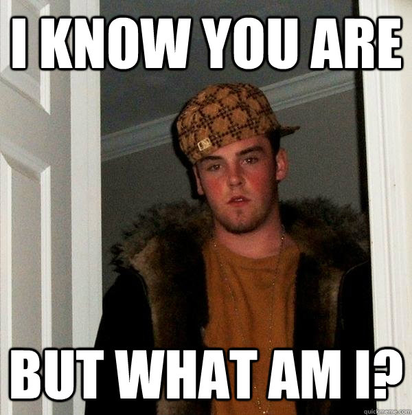 I know you are but what am I? - I know you are but what am I?  Scumbag Steve