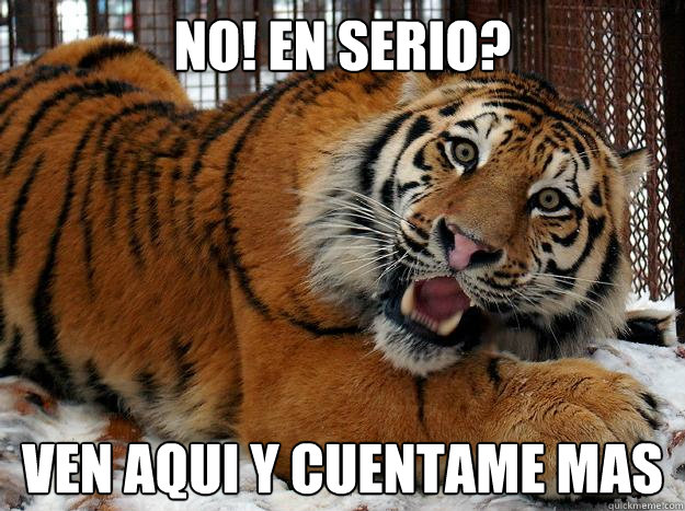 No! en serio? Ven aqui y cuentame mas - No! en serio? Ven aqui y cuentame mas  Fascinated Tiger