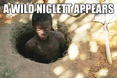a wild Niglett appears     