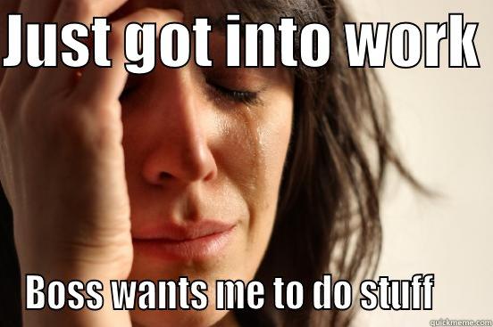 JUST GOT INTO WORK  BOSS WANTS ME TO DO STUFF     First World Problems