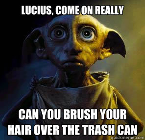 Lucius, come on really Can you brush your hair over the trash can - Lucius, come on really Can you brush your hair over the trash can  Disgruntled House-elf Dobby