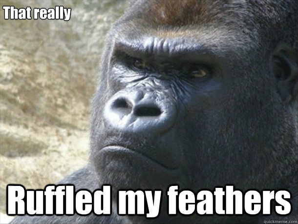 That really Ruffled my feathers - That really Ruffled my feathers  Jimmies gorilla