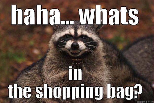 hahahahahahaha hahahahahaha - Evil Plotting Raccoon