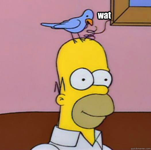 wat  Bird grooming Homer