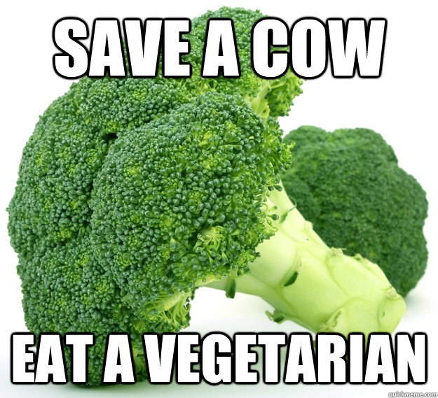 save a cow eat a vegetarian - save a cow eat a vegetarian  vegans