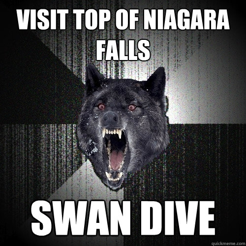 visit top of niagara falls swan dive  Insanity Wolf