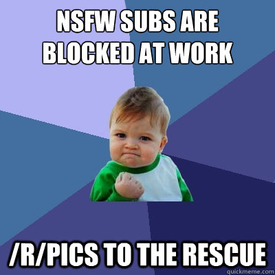 NSFW subs are blocked at work /r/pics to the rescue  Success Kid