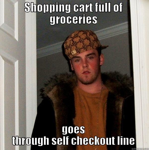 SHOPPING CART FULL OF GROCERIES GOES THROUGH SELF CHECKOUT LINE Scumbag Steve