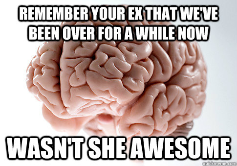 remember your ex that we've been over for a while now wasn't she awesome  Scumbag Brain