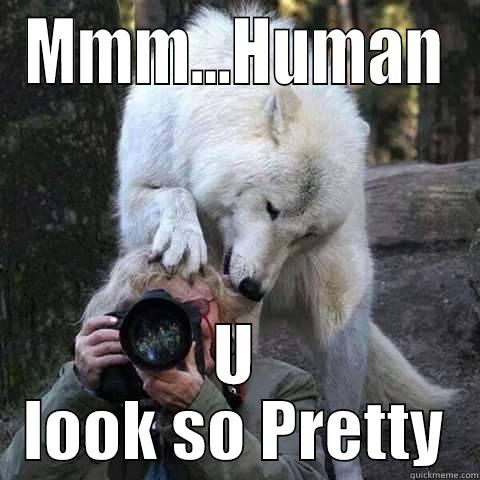 MMM...HUMAN U LOOK SO PRETTY Misc