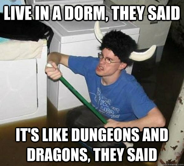 Live in a dorm, they said It's like Dungeons and Dragons, they said  They said