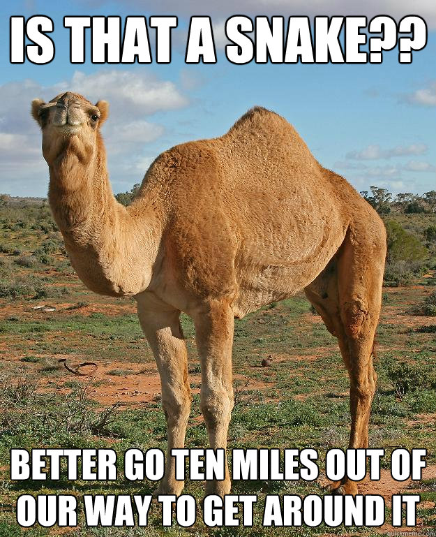 Is that a snake?? Better go ten miles out of our way to get around it  