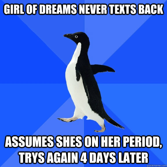 Girl of dreams never texts back Assumes shes on her period, trys again 4 days later  Socially Awkward Penguin
