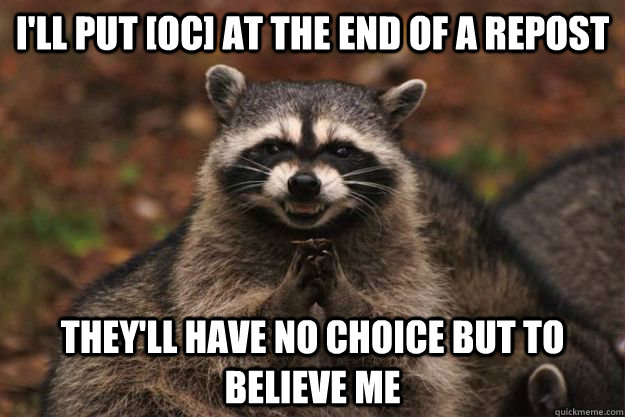 I'll put [oc] at the end of a repost they'll have no choice but to believe me - I'll put [oc] at the end of a repost they'll have no choice but to believe me  Evil Plotting Raccoon