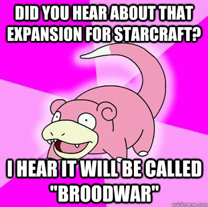 Did you hear about that expansion for starcraft? I hear it will be called 