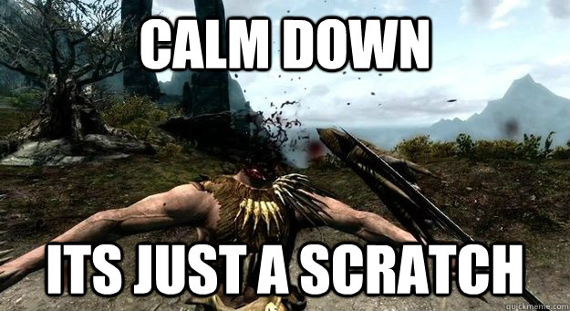 calm down its just a scratch  skyrim