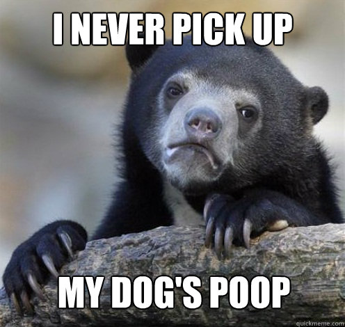 I NEVER PICK UP MY DOG'S POOP  Confession Bear Eating