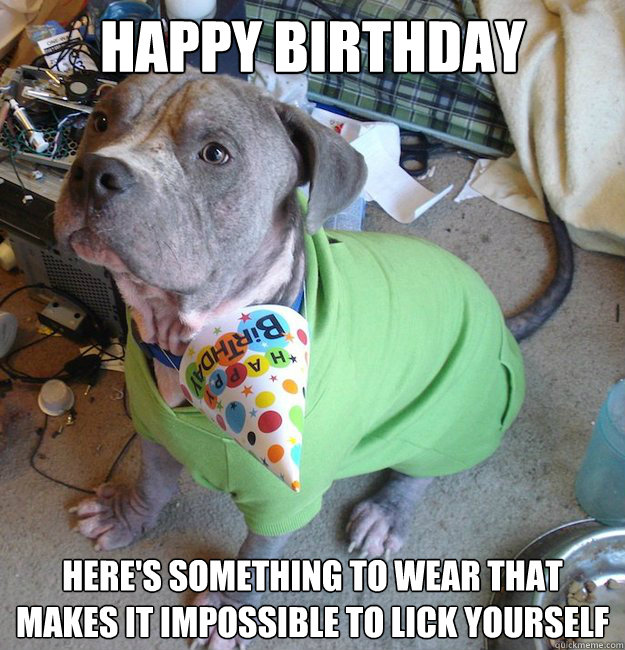HAPPY BIRTHDAY Here's something to wear that makes it impossible to lick yourself  Sad Birthday Dog