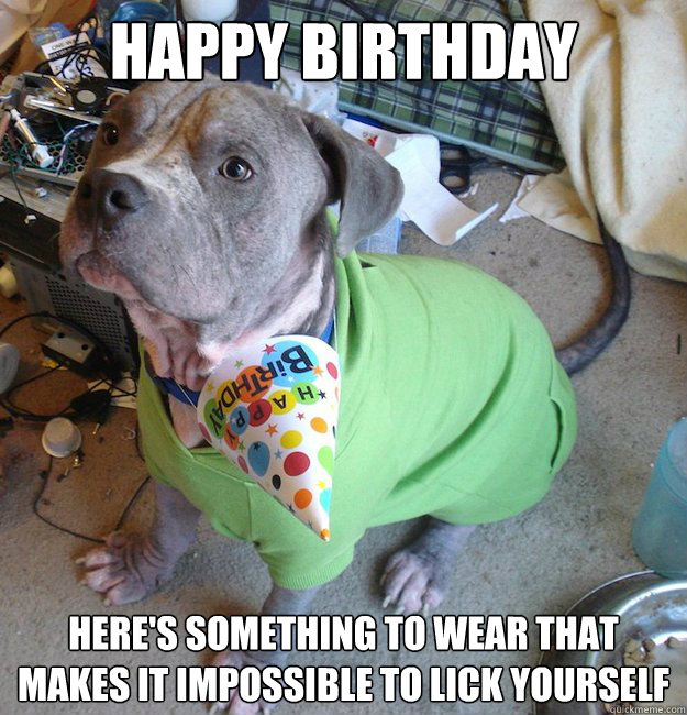 funny birthday dog meme