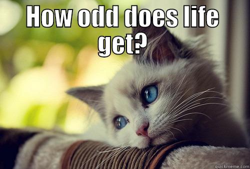 First World Problems Cat - How odd does life get? - HOW ODD DOES LIFE GET?  First World Problems Cat