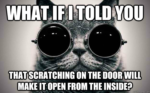 What if i told you that scratching on the door will make it open from the inside?  Morpheus Cat Facts