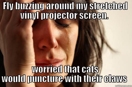 FLY BUZZING AROUND MY STRETCHED VINYL PROJECTOR SCREEN.  WORRIED THAT CATS WOULD PUNCTURE WITH THEIR CLAWS  First World Problems
