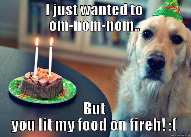 I JUST WANTED TO OM-NOM-NOM.. BUT YOU LIT MY FOOD ON FIREH! :( Sad Birthday Dog