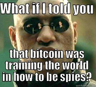 WHAT IF I TOLD YOU  THAT BITCOIN WAS TRAINING THE WORLD IN HOW TO BE SPIES? Matrix Morpheus