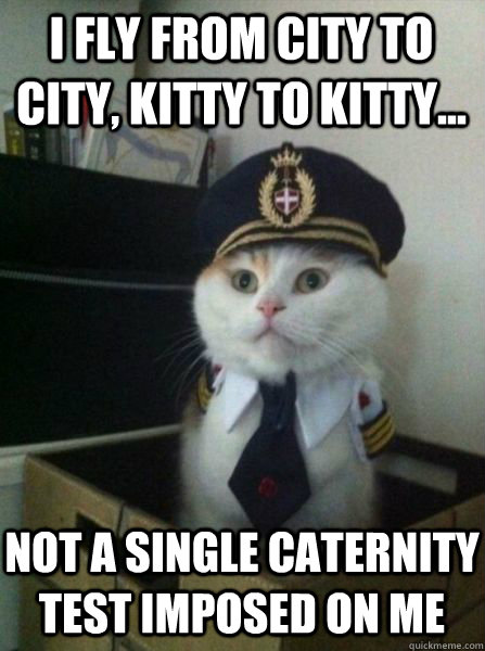 i fly from city to city, kitty to kitty... not a single caternity  test imposed on me  Captain kitteh