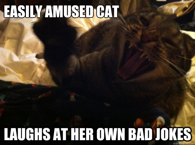Easily Amused Cat laughs at her own bad jokes  Easily Amused Cat
