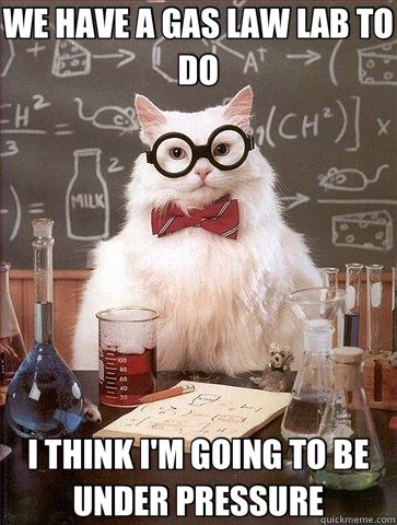WE HAVE A GAS LAW LAB TO DO I THINK I'M GOING TO BE UNDER PRESSURE  Chemistry Cat